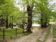 2010-06-03_1027.machaby