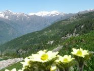 Verso il Rosa