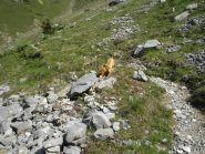 Tata, la mia compagna di gita.