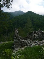 sullo sfondo il cimeron dall'alpe oian del pari