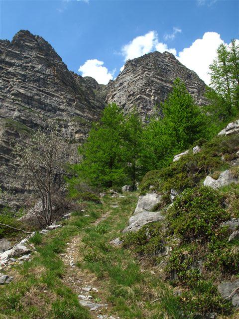 In discesa nel vallone del Rio Conforent