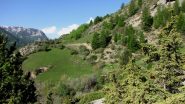 il verde e incantevole Vallon du Chatelet (5-6-2010)