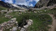 l'inizio del Vallon de Serenne (5-6-2010)