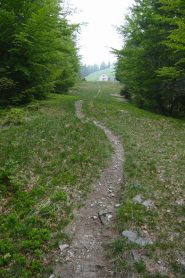 La Colma di fuori