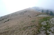 La dorsale finale