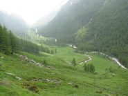 Panorama sul Pian Azaria