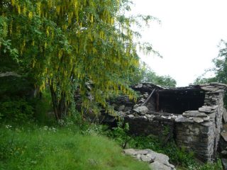 fioritura di maggio ciondolo a frasnis