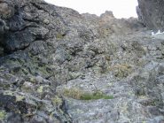 Dopo questa paretina si va a sx fino al filo di cresta