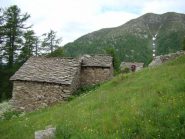 Brenghia