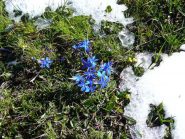 Anche lui non se l'aspettava ;-)