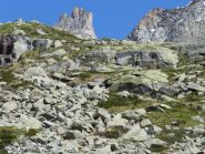 veduta delle Cadreghe dal Davito