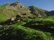 alpe colma con manda e sili