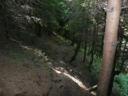 Mi inoltrai in una selva oscura, sentiero 5 dai piani d'Erna