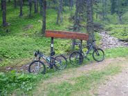 Da che parte saliamo?