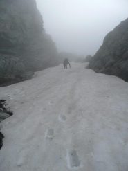 discesa nel canale della normale