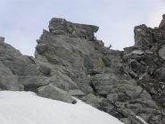 piccoli camosci sopra le rocce del colle