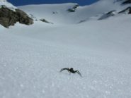 sul ghiacciaio del Collerin (Chalanson sullo sfondo)