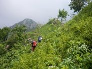 non c'è più sentiero