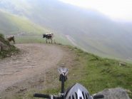La strada di salita(il pezzo più ripido)