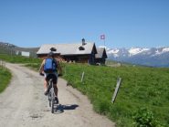 Alp Stavanas
