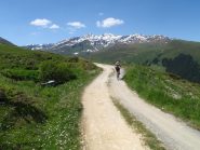 Verso Alp Nova