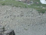 insediamento neolitico visto dalla dorsale del Tantane