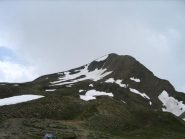 La Punta dei Camosci dal Passo del Gries. L'attacco per la cresta è all'estrema sinistra.