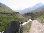 Poco dopo il ponte inizia il sentiero