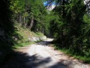 la strada per Sagnalonga