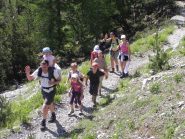 Nel bosco la salita è tranquilla