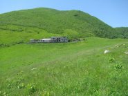 L'Alpe Sionei