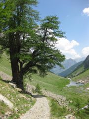 la strada sterrata 