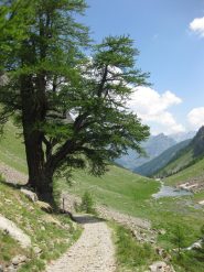 la strada sterrata 