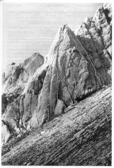 b) Via dei Triestini  i)Valeria