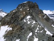 Grand Tournalin