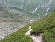 in discesa tra i rododendri