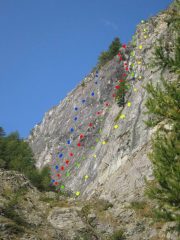 da sinistra (blu) Phenomena, (rosso) balla, (verde) cuculo), (giallo) aquile 