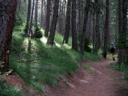 Sul sentiero 3B poco dopo il bivio.