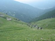 tratto di salita verso il colle Frejus