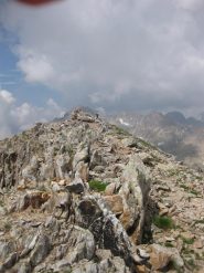quasi in cima