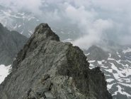 Uno sguardo su parte della cresta