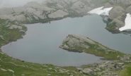 capre allo specchio nel lago della rocce