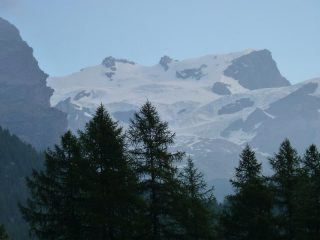 il rosa