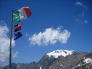 Il Mont Velan dal Rifugio