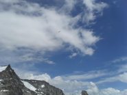 in qualche secondo,l'aquila vola verso il Grampa