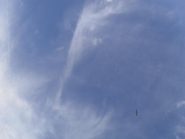 ecco l'aquila che se ne sta andando