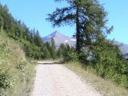 Primo pezzo di sterrato con il Rocciamelone