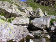 l'nsignificante rivolo che sgorga dai massi diventerà uno dei fiumi più lunghi del mondo