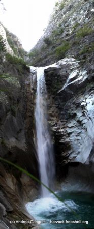 marmitta