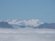 Massicio del Monte Rosa